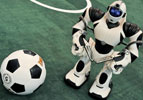 The soccer-playing robots were among the stars of the show